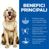Hill's Perfect Weight secco Cani Adulti Large pollo 12 kg