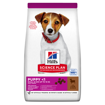 Hill's Mantenimento Cani Puppy Mini agnello e riso 1,5 kg