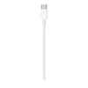 APPLE CAVO USB-C 2M (MLL82ZM/A)