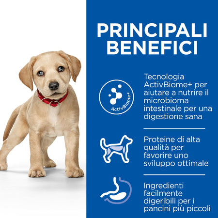 Hill's Perfect Digestion secco Cani Puppy Large pollo 12 kg