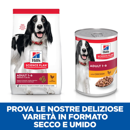 Hill's Mantenimento umido Cani Adulti pollo 370 gr