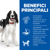 Hill's Mantenimento umido Cani Adulti pollo 370 gr