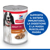 Hill's Mantenimento umido Cani Adulti tacchino 370 gr