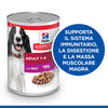Hill's Mantenimento umido Cani Adulti manzo 370 gr