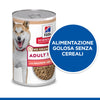Hill's No Grain umido Cani Adulti salmone 363 gr
