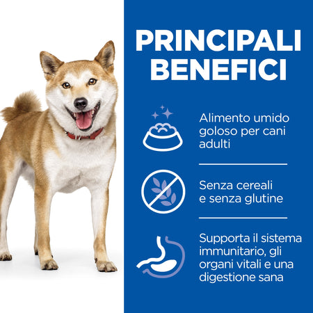 Hill's No Grain umido Cani Adulti salmone 363 gr