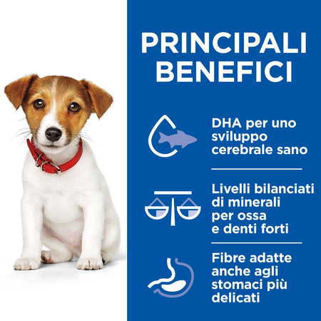 Hill's Healthy Cuisine umido Cani Puppy Mini pollo e verdure 80 gr