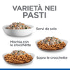 Hill's Healthy Cuisine umido Cani Puppy Mini pollo e verdure 80 gr