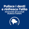Hill's Prescription Diet Dental Care secco Cani Adulti pollo 4 kg