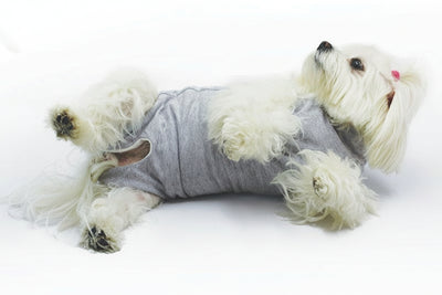 Body per cani dopo interventi chirurgici Cura Pet