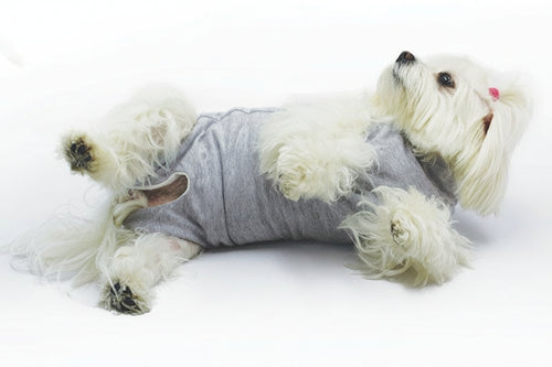 Body per cani dopo interventi chirurgici Cura Pet