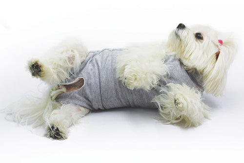 Body per cani dopo interventi chirurgici Cura Pet