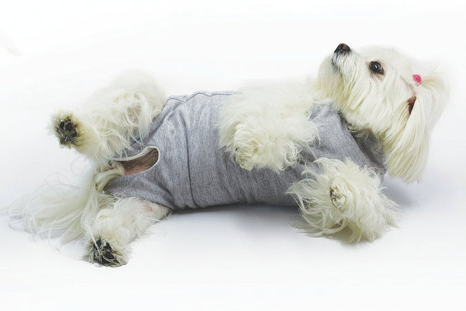 Body per cani dopo interventi chirurgici Cura Pet