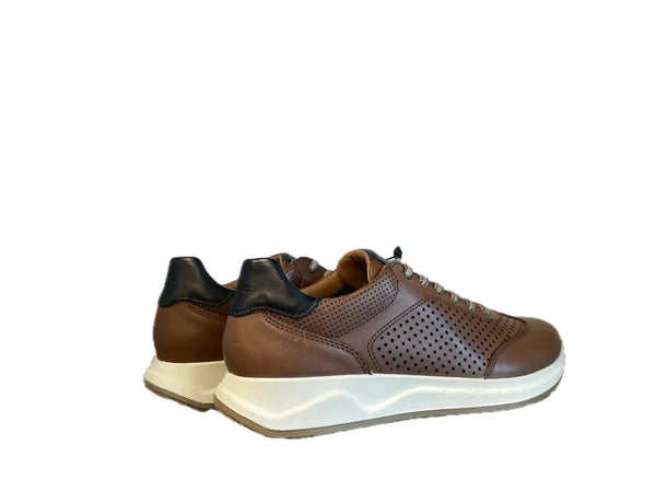 IGI &amp; CO Sneaker uomo in pelle forata tabacco