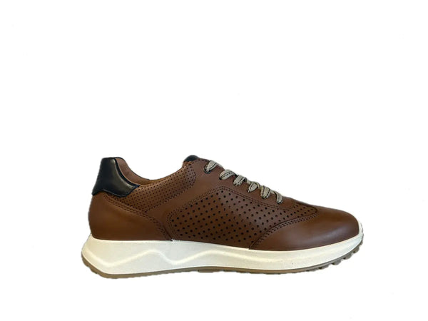 IGI &amp; CO Sneaker uomo in pelle forata tabacco