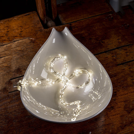 Ciuffo luminoso catena microled e Flash decorazione natalizie per esterno ed interno