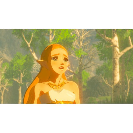 Nintendo The Legend of Zelda: Breath of the Wild Standard Tedesca, Inglese, ITA Nintendo Switch (The Legend of Zelda Breath of the Wild)