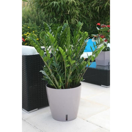 RIVIERA Eva Nuovo vaso tondo in plastica -  46 cm - 49 L - Taupe