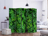 Paravento Green Clover II [Room Dividers]