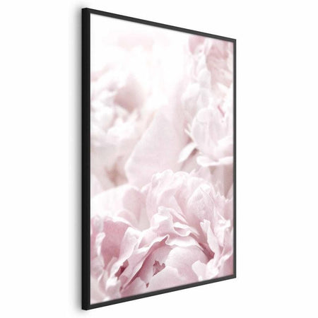 Poster - Fluffy Peonies