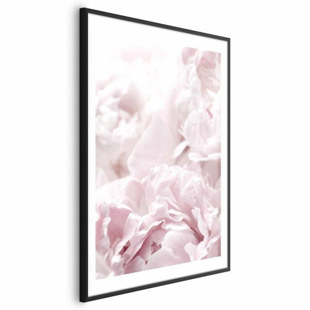 Poster - Fluffy Peonies