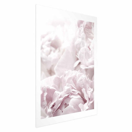 Poster - Fluffy Peonies