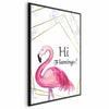 Poster - Hi Flamingo!