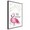 Poster - Hi Flamingo!