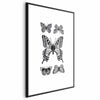 Poster - Five Butterflies