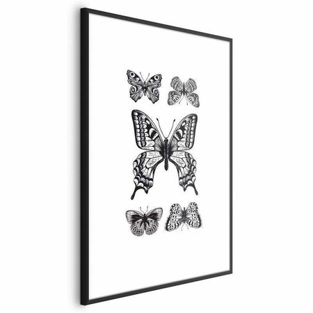 Poster - Five Butterflies