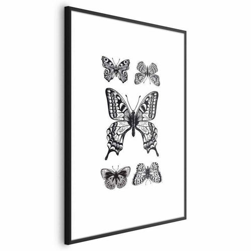 Poster - Five Butterflies