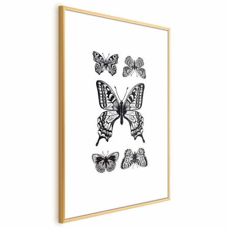 Poster - Five Butterflies