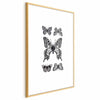 Poster - Five Butterflies