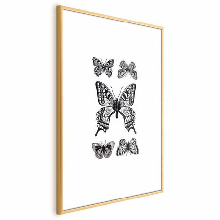 Poster - Five Butterflies