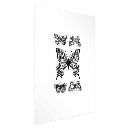 Poster - Five Butterflies