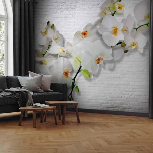 Carta da parati orchidea selvaggia