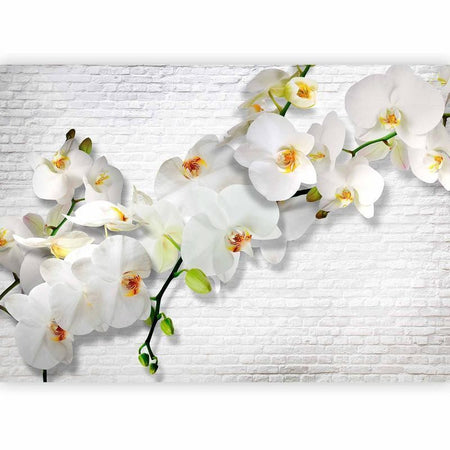 Carta da parati orchidea selvaggia