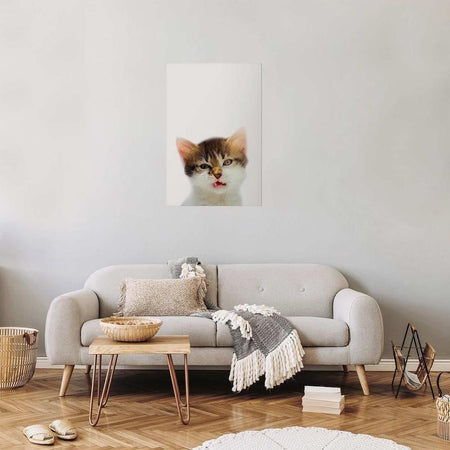 Poster - Annoyed Cat