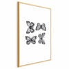 Poster - Four Butterflies