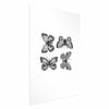 Poster - Four Butterflies
