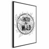 Poster - Into the Wild