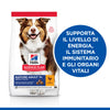 Hill's Mantenimento secco Cani Mature Medium pollo