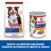 Hill's Mantenimento secco Cani Mature Medium pollo
