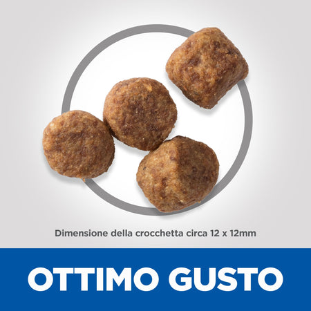 Hill's Mantenimento secco Cani Mature Medium pollo