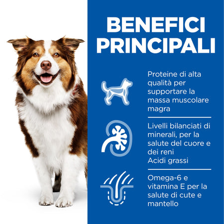 Hill's Mantenimento secco Cani Mature Medium pollo