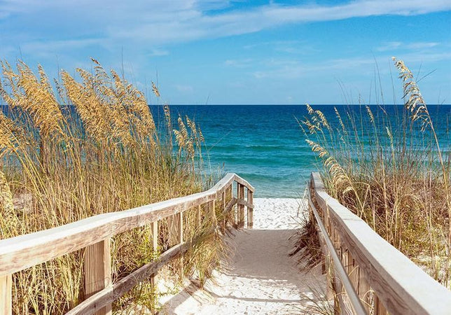 Fotomurale Summer at the Seaside