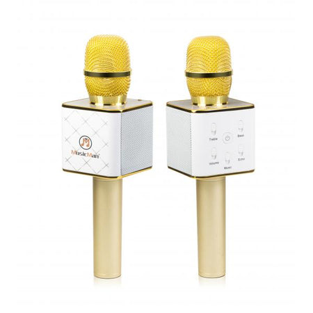 Microfono Karaoke Bluetooth con Speaker Stereo, BT-X31