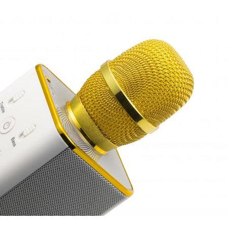 Microfono Karaoke Bluetooth con Speaker Stereo, BT-X31