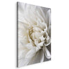 Quadro White Dahlia