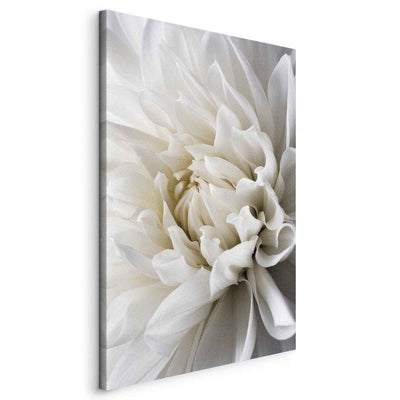 Quadro White Dahlia